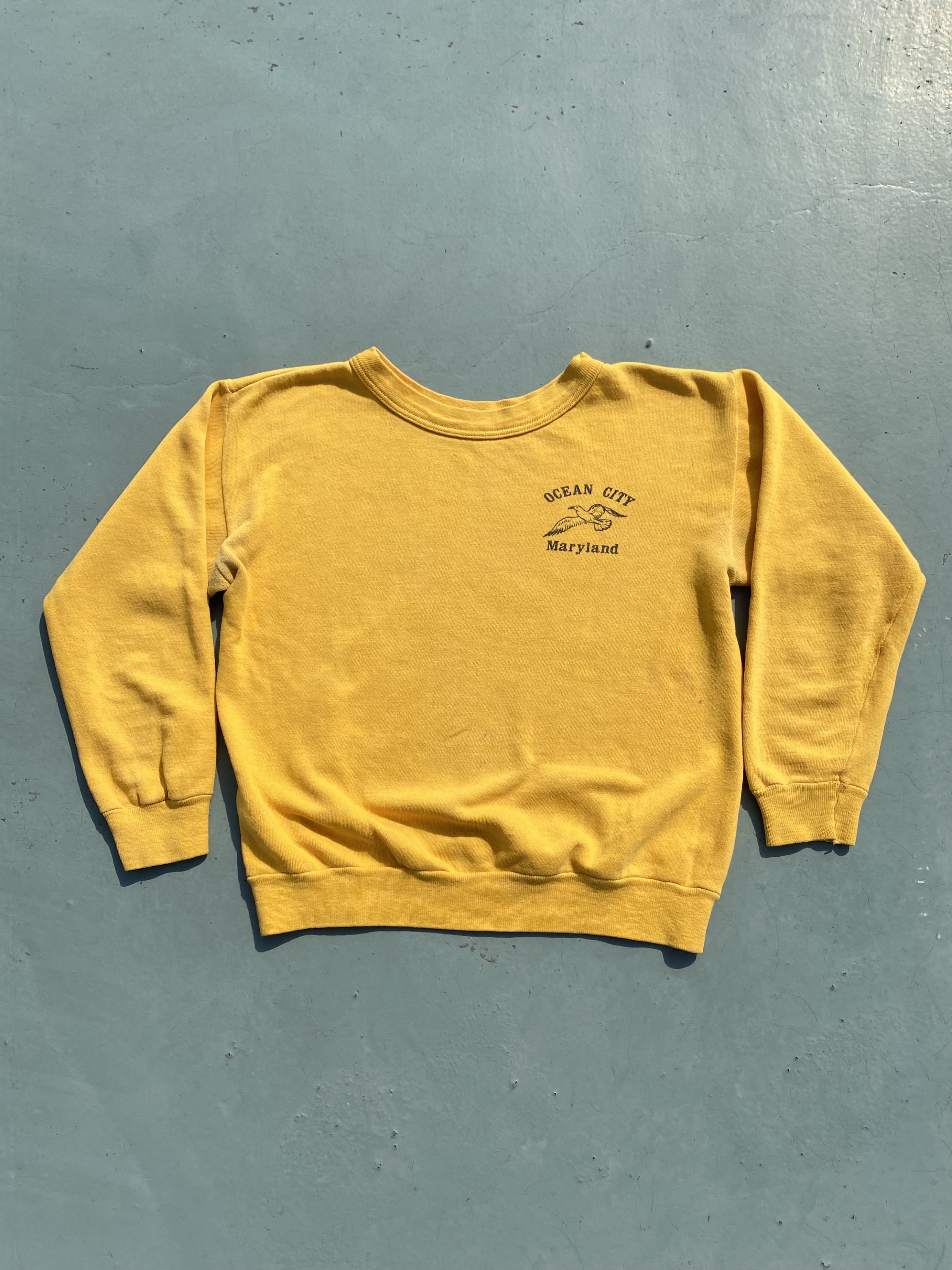 70&#039;s Ocean City Bird Vintage Sweatshirt 95~100 or Women - 체리피커
